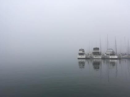 29066695_10215531363738599_1787185991171792943_n