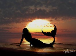 546382_455431514486118_237473839_n