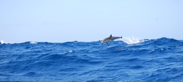 1625796_1198429002261_2920915_n