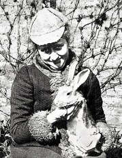 3680E82300000578-0-image-a-26_1469198444830