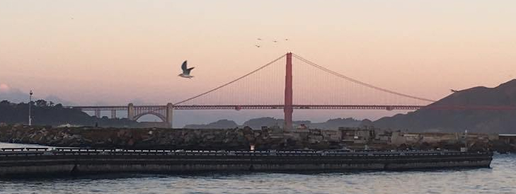 24058797_10214608479747076_2036461714581298025_n