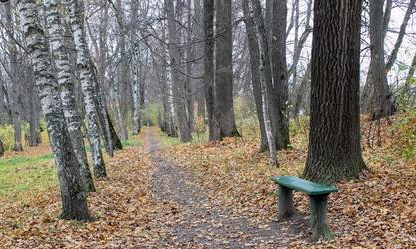 92224979-fallen-yellow-leaves-in-the-park-in-the-estate-of-count-leo-tolstoy-in-yasnaya-polyana-