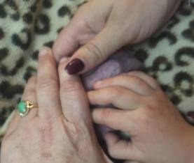 22687957_10214332244481367_1216906893496817940_n